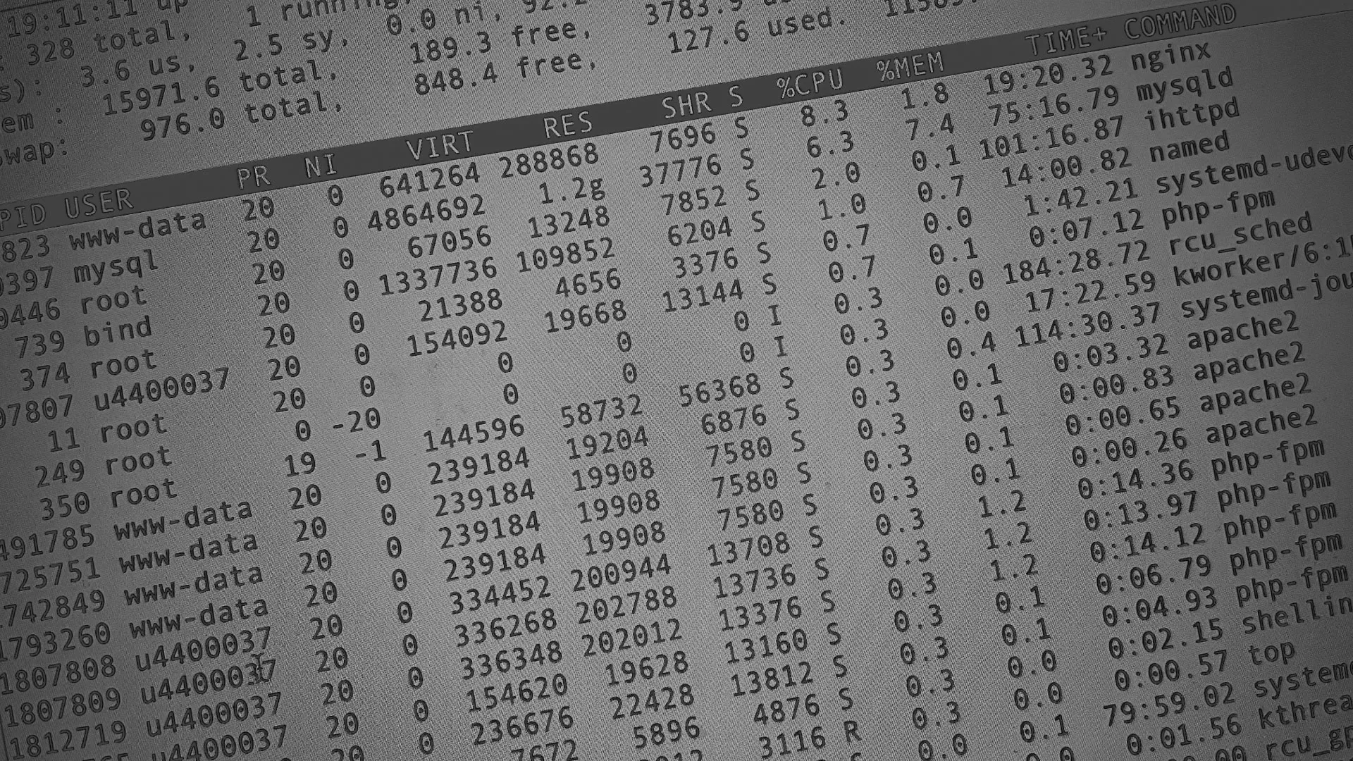 Настройка сервера в Орехово-Зуево Настройка сервера в Орехово-Зуево