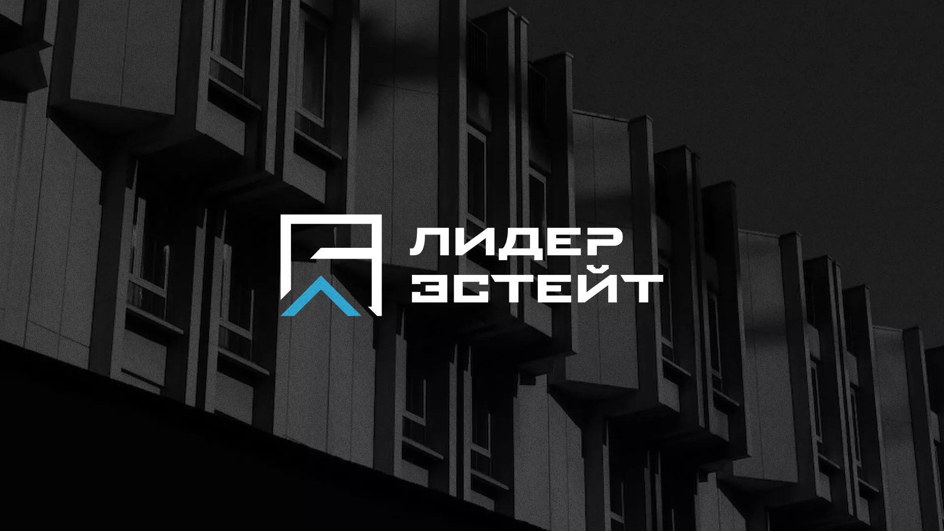 Разработка логотипа агентства недвижимости «Лидер Эстейт» в Орехово-Зуево